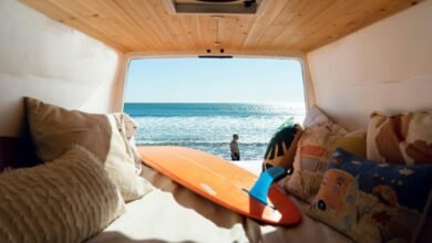 baja alli life experience