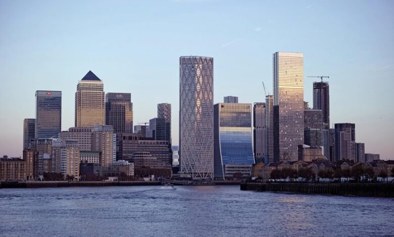 hsbc multi cap investment fund