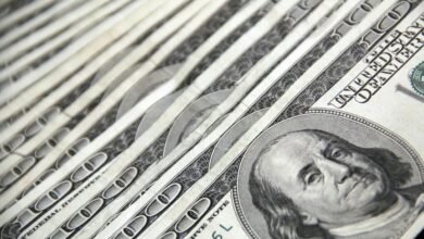 hsbc multicap investment strategy