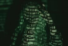 understanding numerical information format
