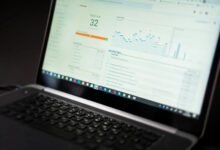 freusseporn s online presence analysis