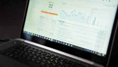 freusseporn s online presence analysis