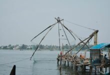 business landscape evaluation insights