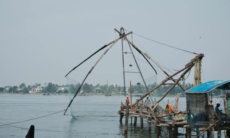 business landscape evaluation insights