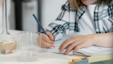 corporate sector growth overview