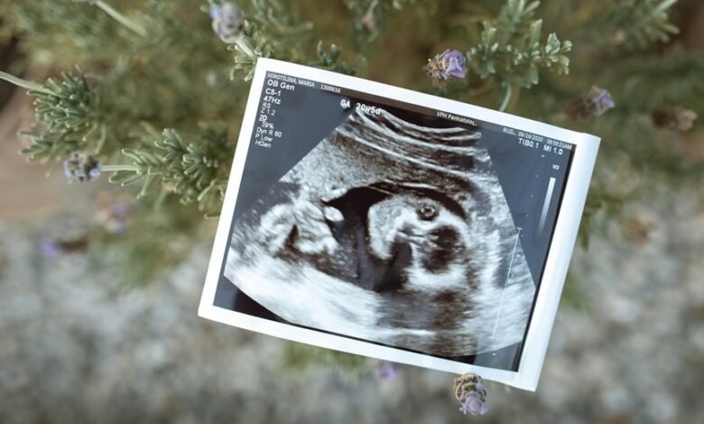 sector growth analysis report