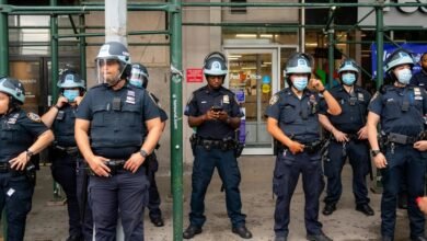 search authority ranking control