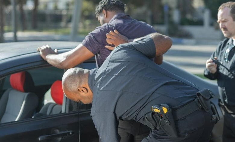 search impact content authority