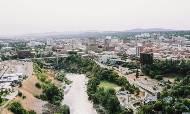 traffic diversity engineering strategy